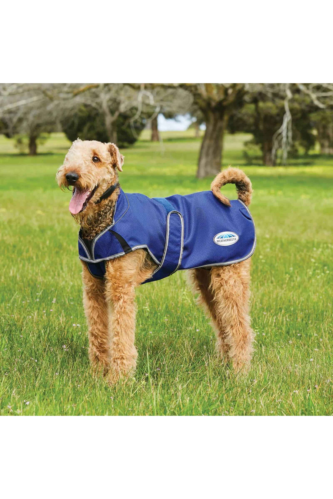 Weatherbeeta Comfitec Premier Free Parka Deluxe Dog Coat Medium - Canterbury Saddlery