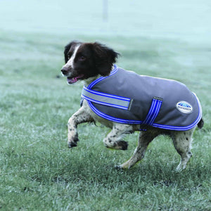 Weatherbeeta Thermi-Heat Dog Coat Grey/Blue Dog Rugs 