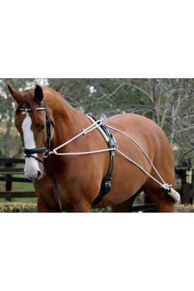 Zilco Lunge Training System - Canterbury Saddlery