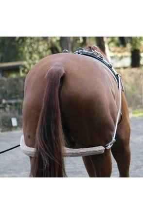 Zilco Lunge Training System - Canterbury Saddlery